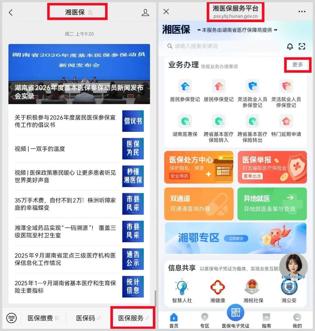白山医保提取平台(医保提取平台官网)