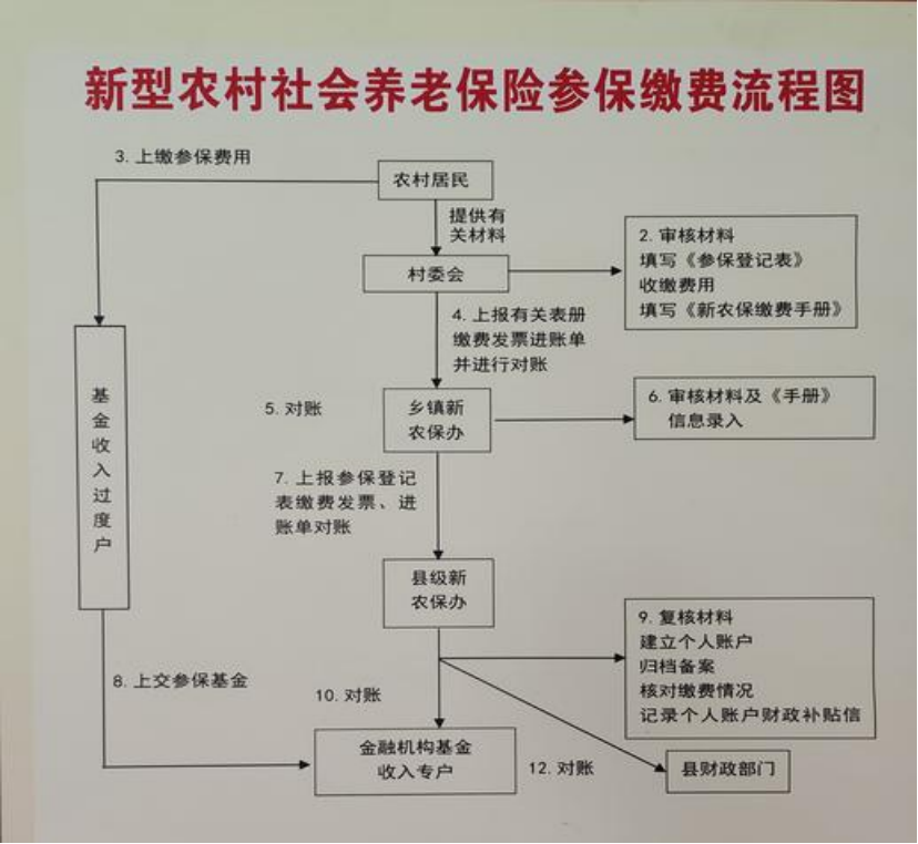 白山农村医保和社保有什么区别(农村医保跟社保的区别)