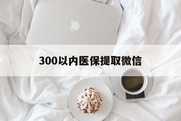 白山300以内医保提取微信(小额医保300以内提取)